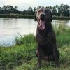 Profile Picture of Kevin Pulliam (@@kevinpulliam6) on Tiktok
