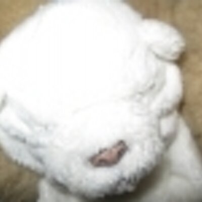 Profile Picture of Jesse Pennington (@JessePennington) on Twitter