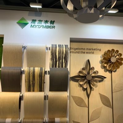 Profile Picture of Mandy Yu (@Mandyyu_MYT) on Twitter