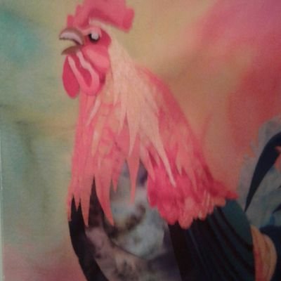Profile Picture of Lynne Engelhardt (@LynneEngelhardt) on Twitter