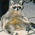 Profile Picture of Kevin Kretzschmar (@kretzschmar6881) on Facebook