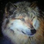 Profile Picture of William sims (@simswilliam27) on Instagram