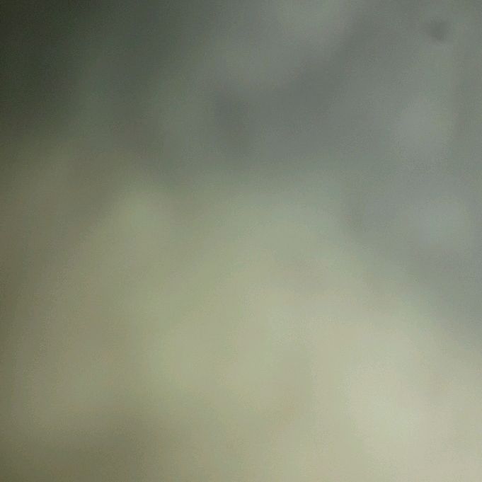 Profile Picture of Ruth Howard (@ruthh731) on Tiktok
