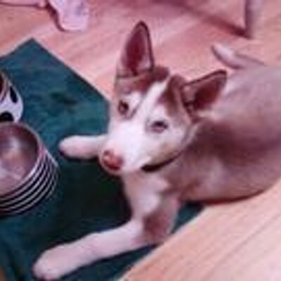 Profile Picture of Erica Emerson (@erykah94) on Twitter