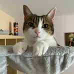 Profile Picture of David Affolter (@david.affolter.52) on Facebook
