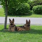 Profile Picture of Fred Kerns (@fredkerns1) on Pinterest