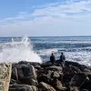 Profile Picture of Zac (@zachary.deangelis) on Tiktok