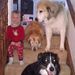 Profile Picture of Sean Ruth (@29sruth) on Pinterest