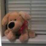 Profile Picture of preston_benefee (@preston_benefee) on Instagram