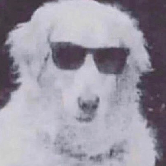 Profile Picture of Keith Willmann (@keeks1005) on Poshmark