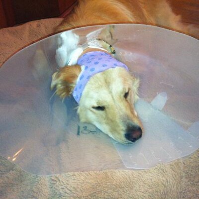 Profile Picture of Kathi Harrison (@frumyourmum) on Twitter