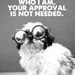 Profile Picture of Taylor Traskowski (@TTraskowski) on Pinterest