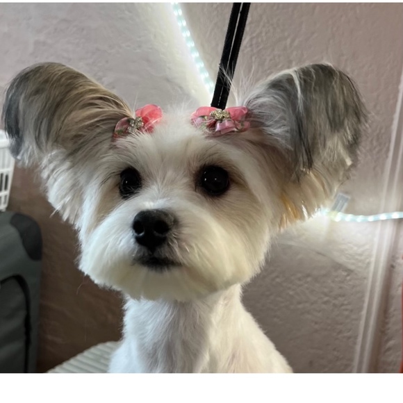 Profile Picture of Joyce Fields (@4ubabe1) on Poshmark