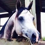 Profile Picture of Kevin Sayer (@mtnbreeze) on Instagram