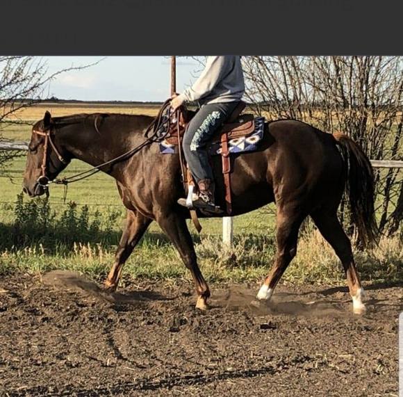 Shannon Bartrop-langevin - Poshmark Profile Picture of Shannon Bartrop-langevin (@shannonbartr442) on Poshmark