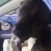Profile Picture of John Auer (@john.auer.908) on Facebook