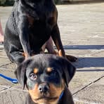 Profile Picture of Brian Gladwell (@brian.gladwell.52) on Facebook