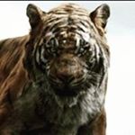 Profile Picture of Owen Perez (@owenperez2495) on Instagram