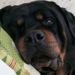 Profile Picture of Gloria Gowins (@gowins) on Pinterest