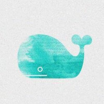 Marissa Ng - Twitter Profile Picture of Marissa Ng (@OwlAlwaysShleep) on Twitter