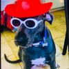 Profile Picture of autumnchasee (@autumnchasee) on Tiktok