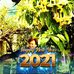Profile Picture of Rosa Neto (@rosa.neto.104) on Facebook