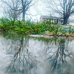 Profile Picture of DezarayTeeter (@dezarayteeter) on Instagram