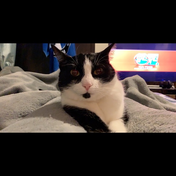 Profile Picture of Ahmed Ismael (@sosaescobar713) on Poshmark