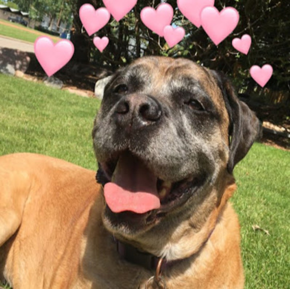 Profile Picture of Macyn Smeets (@macmacskms) on Poshmark