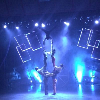 Blaise Watts - Tiktok Profile Picture of Blaise Watts (@blaisegymnast06) on Tiktok