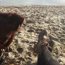 Profile Picture of Lydia Sinclair (@LydiaSinclair74) on Twitter