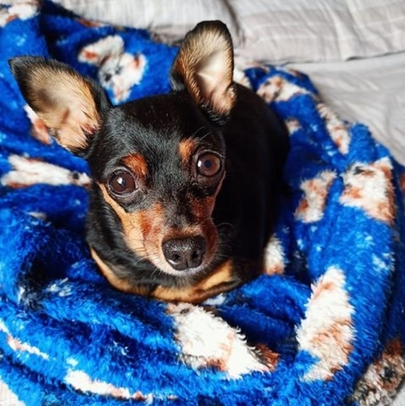 Profile Picture of Luis julian Agudelo (@juliagu925) on Poshmark