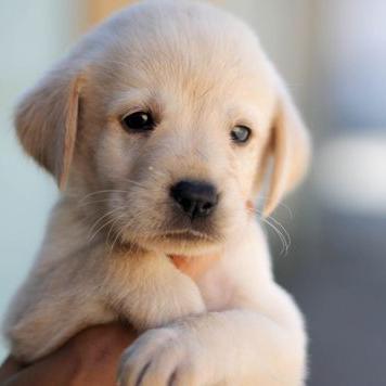 Profile Picture of Chris Wooley (@chriswooley2002) on Twitter