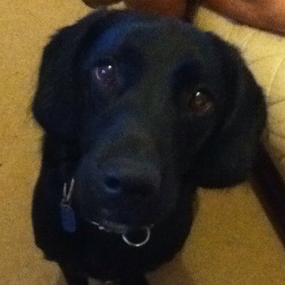 Profile Picture of Hayley Joanne Button (@hayjoa) on Twitter