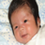Profile Picture of Viet Bach Nguyen (@vietbach' photos) on Flickr
