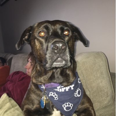 Profile Picture of Tim Parkinson (@timpark62) on Twitter