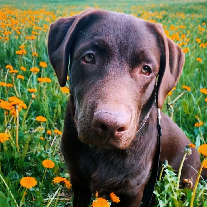 Profile Picture of Randy Walter I (@randy_walter_i) on Tiktok