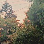 Profile Picture of Eli Laurie Wilcox (@del0stheg0d) on Instagram