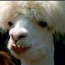 Profile Picture of Matthew Larmore (@larmore0725) on Pinterest