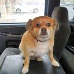 Profile Picture of Jeff Edgerton (@buddyjo53) on Instagram