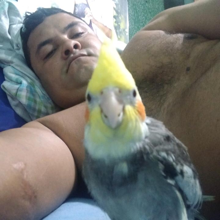 Profile Picture of juliorestoy34 (@julioetaynara) on Tiktok