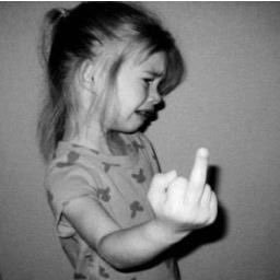 Profile Picture of EM (@EmilyTricker) on Twitter