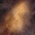 Profile Picture of Sean Doucette (@seandoucette) on Instagram