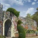 Profile Picture of Doris Morell (@morelldoris) on Instagram