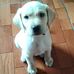Profile Picture of Paloma Olmedo (@paloma.olmedo.56) on Facebook