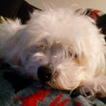 Collin Miles - Instagram Profile Picture of Collin Miles (@collin_miles573) on Instagram