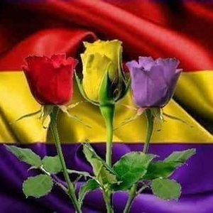 Profile Picture of Eladio Alguacil Sanchez (@ealsa_eladio) on Twitter