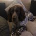 Profile Picture of Debbie Clarkson (@debbie.clarkson.1291) on Facebook