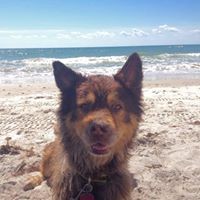 Profile Picture of Alex Hardwick (@alex-hardwick-8) on Quora