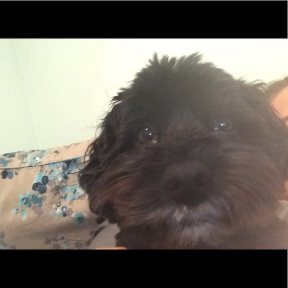 Profile Picture of Ryenne Ri (@ryennefr) on Poshmark